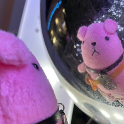 saku_sta's profile picture. @saku_september / 舞台垢 / イブステ