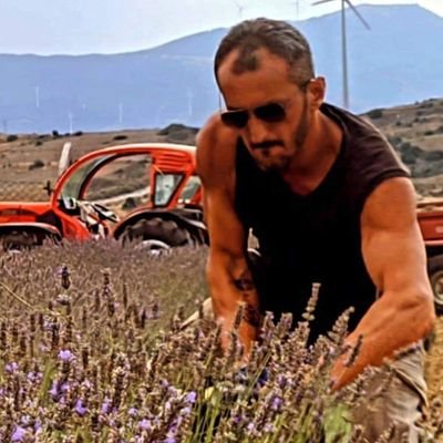 AAslan8182's profile picture. kriz