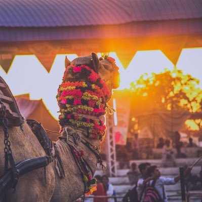 Wanderbhartiya's profile picture. 