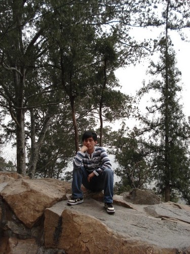 _5663868858261's profile picture. information technology