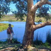 Cisco ♑️ (@69blackwolves) 's Twitter Profile Photo