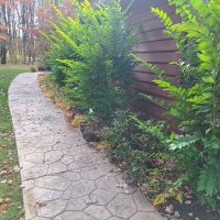 Donna Rudder (@donnarudder1) 's Twitter Profile Photo