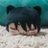 bin_2453's profile image