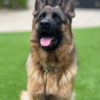 Kevin (@cleautrz1a) 's Twitter Profile