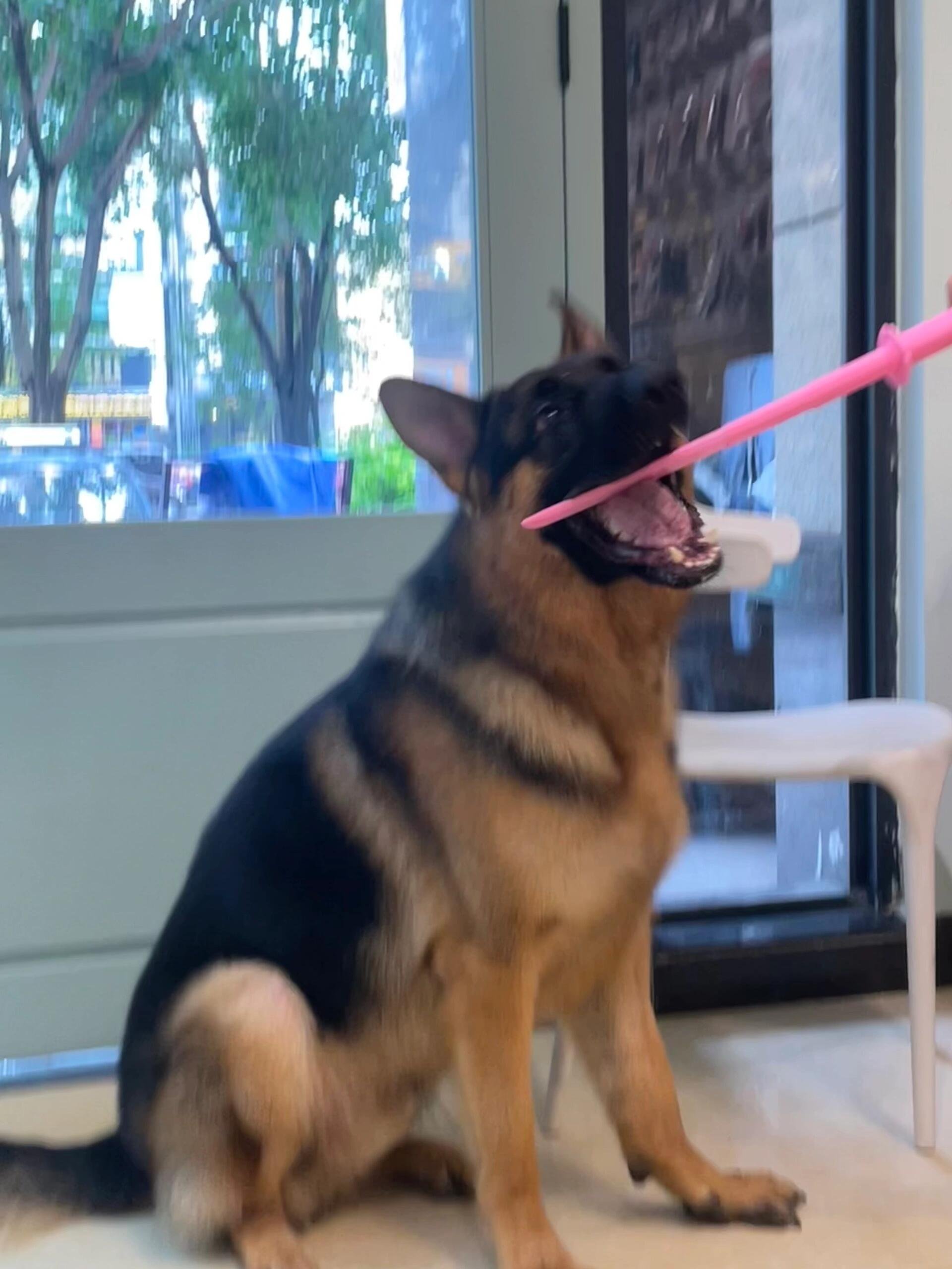 I usually take my dog for a walk 🐶 I enjoy golf ⛳ biking 🚴♀️ scuba diving 🤿 fitness 🏃 reading 📚 I love connecting with genuine people.