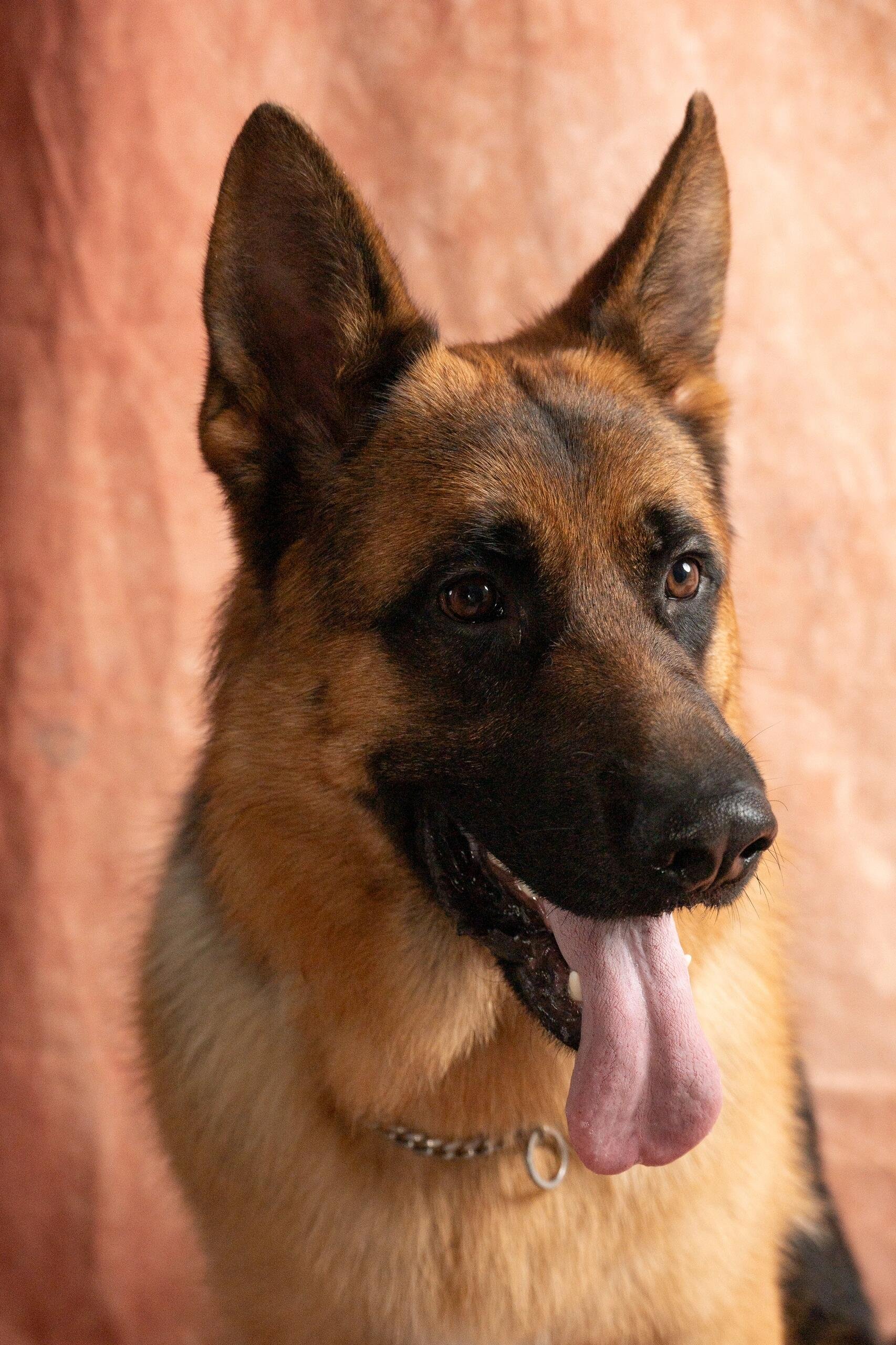 I usually take my dog for a walk 🐶 I enjoy golf ⛳ biking 🚴♀️ scuba diving 🤿 fitness 🏃 reading 📚 I love connecting with genuine people.