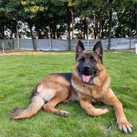 Kevin (@quophea4n_wwr) 's Twitter Profile