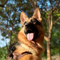 Kevin (@sleauezn9upy) 's Twitter Profile
