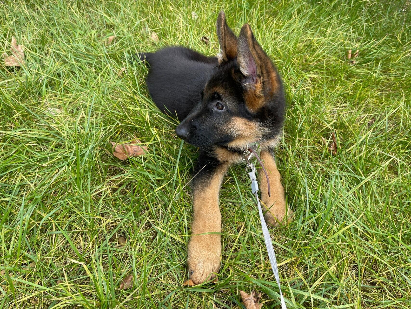I usually take my dog for a walk 🐶 I enjoy golf ⛳ biking 🚴♀️ scuba diving 🤿 fitness 🏃 reading 📚 I love connecting with genuine people.