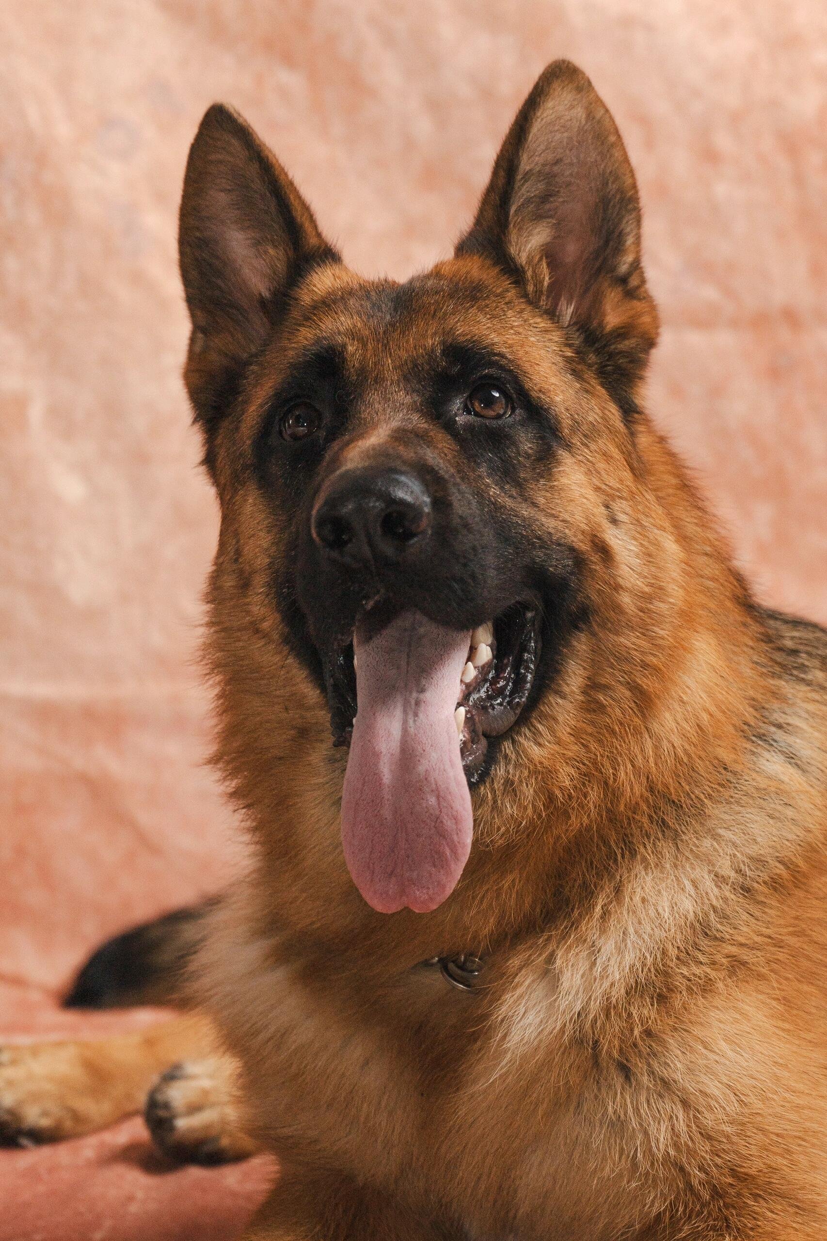 I usually take my dog for a walk 🐶 I enjoy golf ⛳ biking 🚴♀️ scuba diving 🤿 fitness 🏃 reading 📚 I love connecting with genuine people.