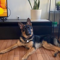 Kevin (@sarendewfmvrhg) 's Twitter Profile