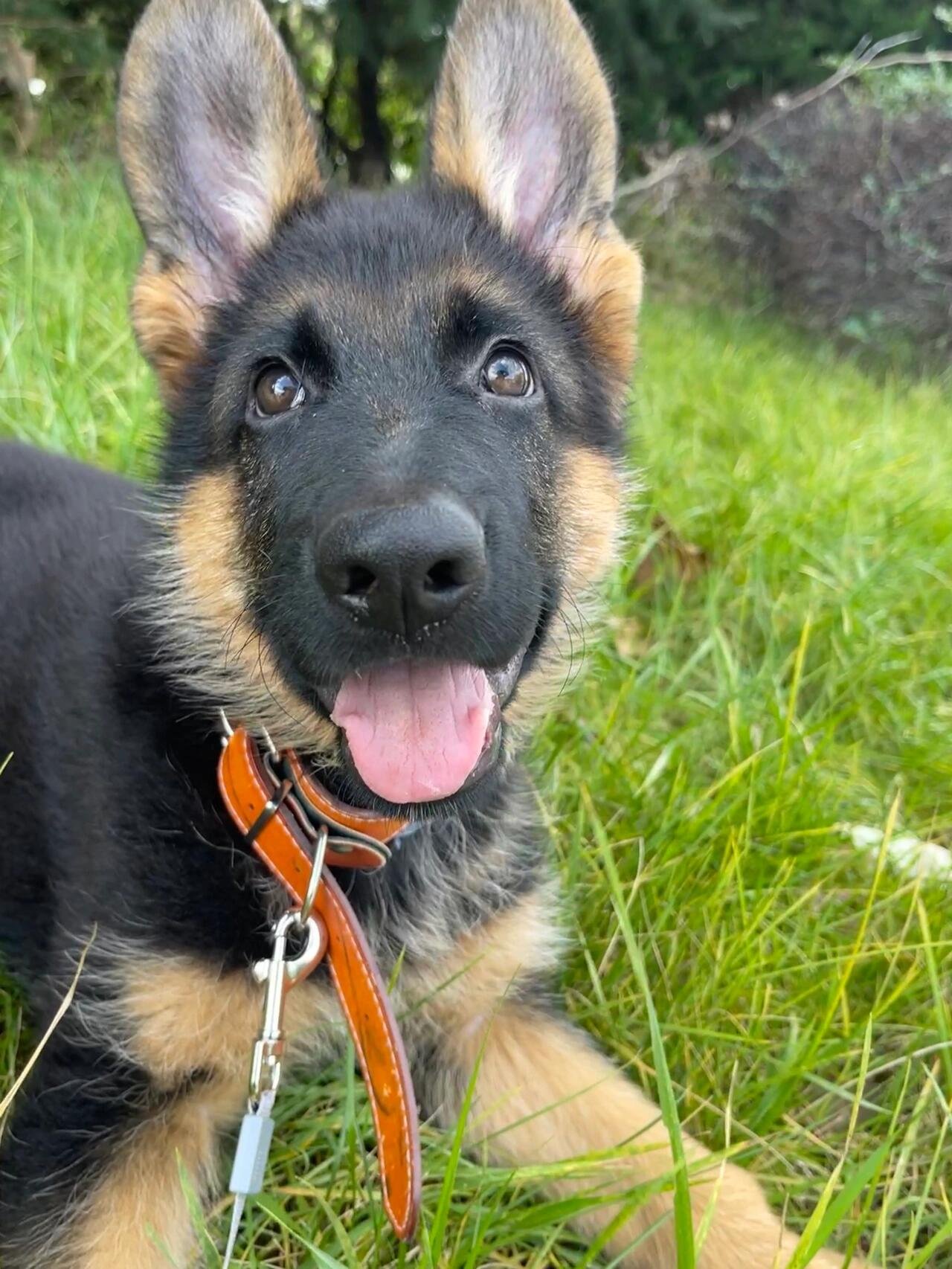 I usually take my dog for a walk 🐶 I enjoy golf ⛳ biking 🚴♀️ scuba diving 🤿 fitness 🏃 reading 📚 I love connecting with genuine people.