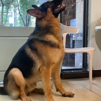 Kevin (@caupya5x) 's Twitter Profile