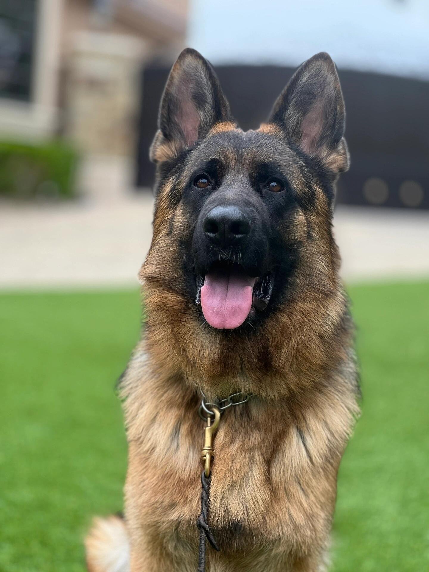 I usually take my dog for a walk 🐶 I enjoy golf ⛳ biking 🚴♀️ scuba diving 🤿 fitness 🏃 reading 📚 I love connecting with genuine people.