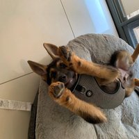 Kevin (@teauckamahl) 's Twitter Profile