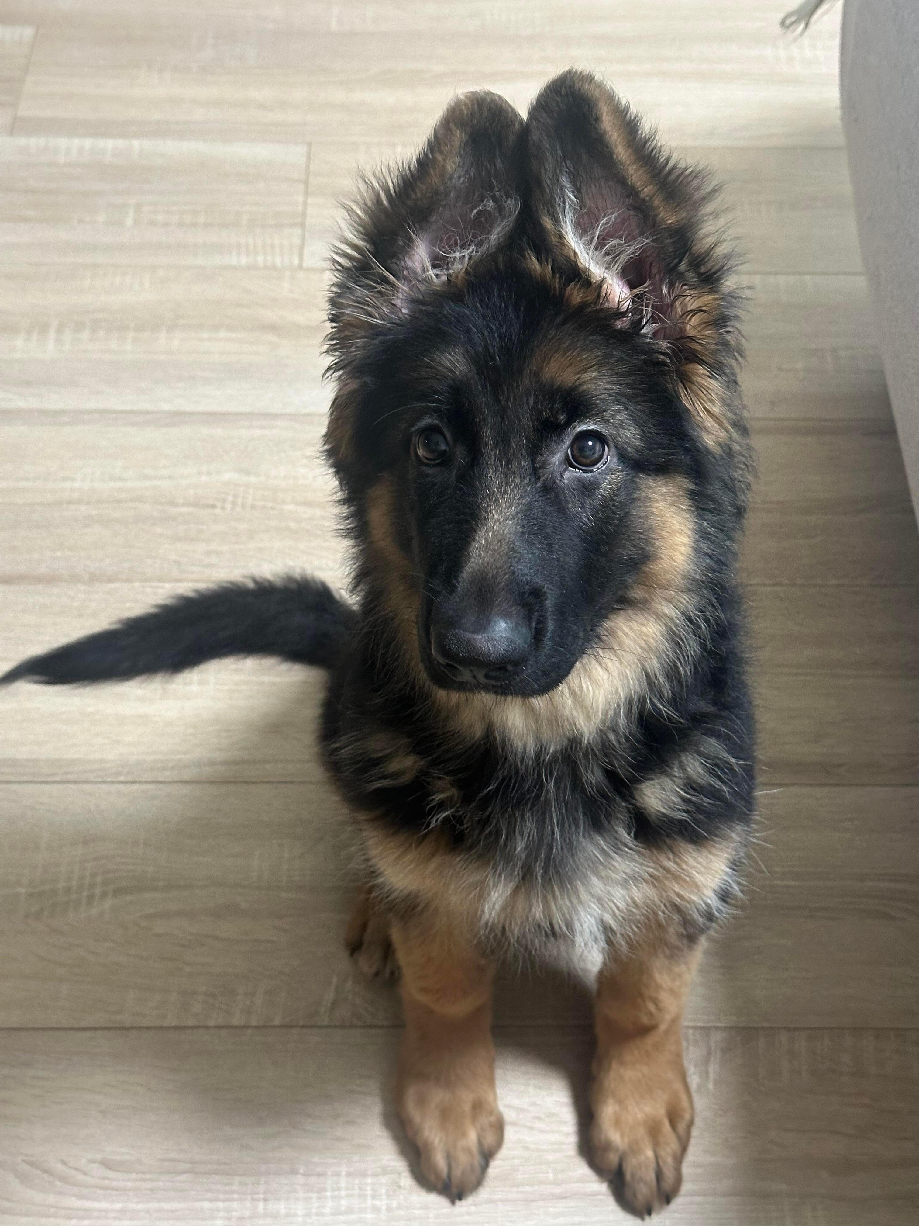 I usually take my dog for a walk 🐶 I enjoy golf ⛳ biking 🚴♀️ scuba diving 🤿 fitness 🏃 reading 📚 I love connecting with genuine people.