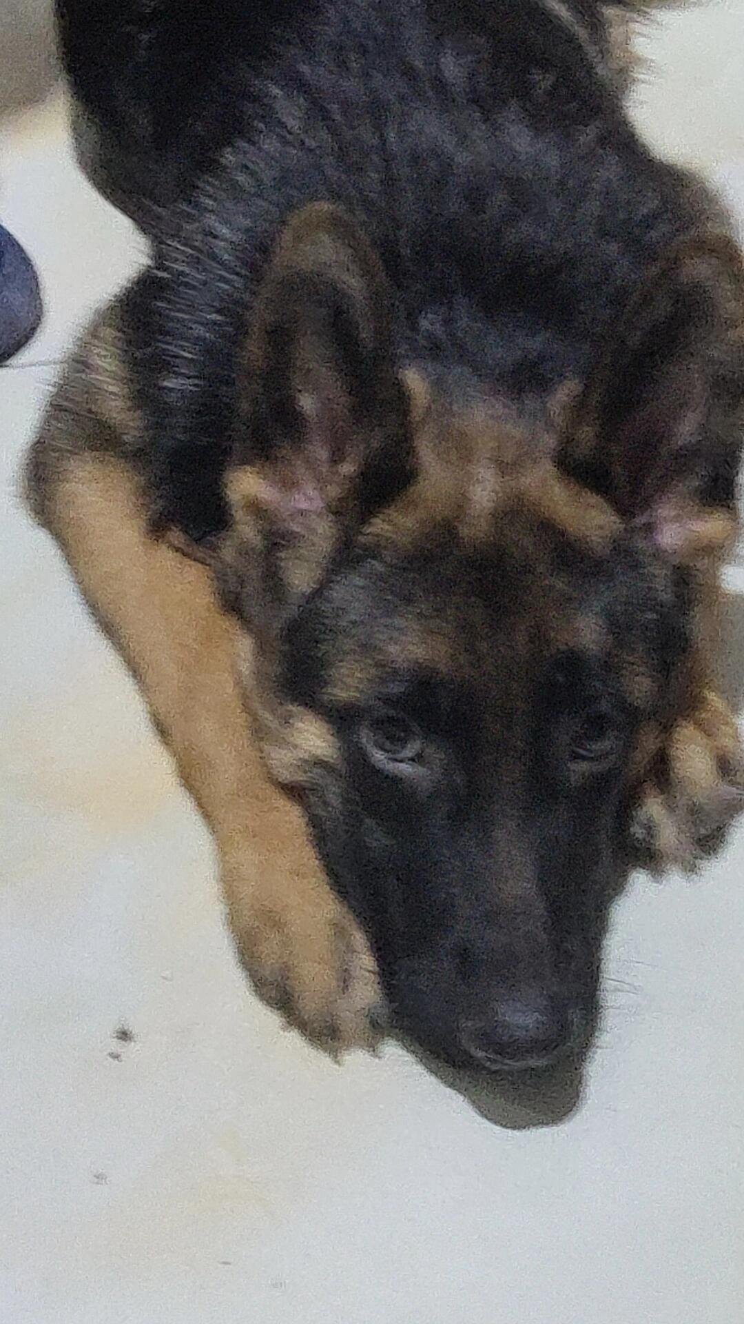 I usually take my dog for a walk 🐶 I enjoy golf ⛳ biking 🚴♀️ scuba diving 🤿 fitness 🏃 reading 📚 I love connecting with genuine people.