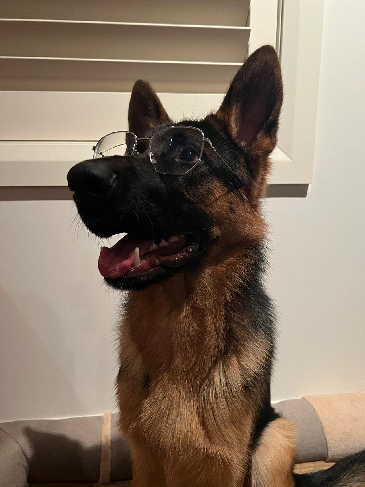 I usually take my dog for a walk 🐶 I enjoy golf ⛳ biking 🚴♀️ scuba diving 🤿 fitness 🏃 reading 📚 I love connecting with genuine people.