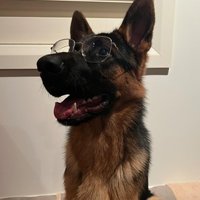 Kevin (@dithirezihh_r3) 's Twitter Profile