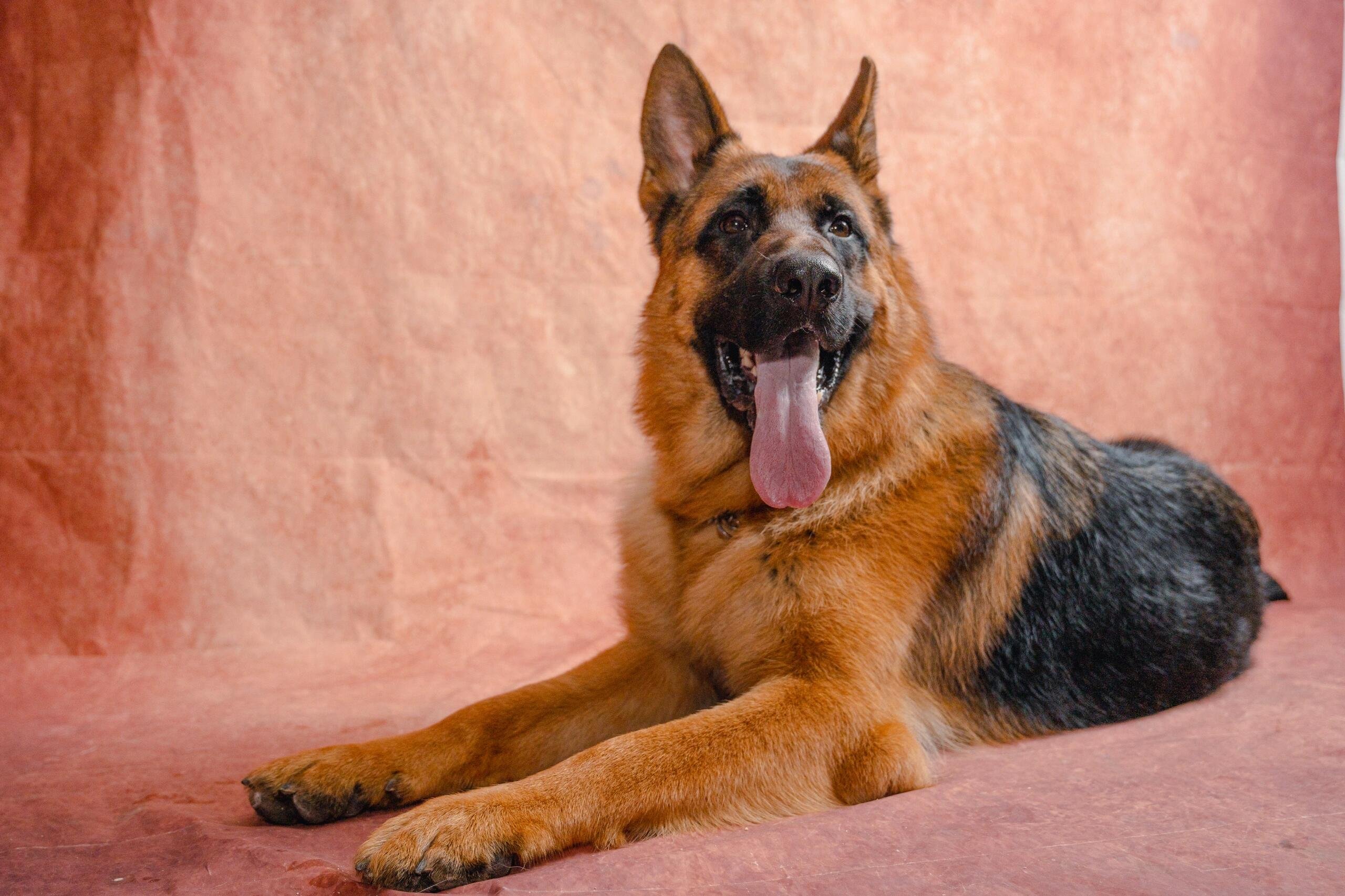 I usually take my dog for a walk 🐶 I enjoy golf ⛳ biking 🚴♀️ scuba diving 🤿 fitness 🏃 reading 📚 I love connecting with genuine people.
