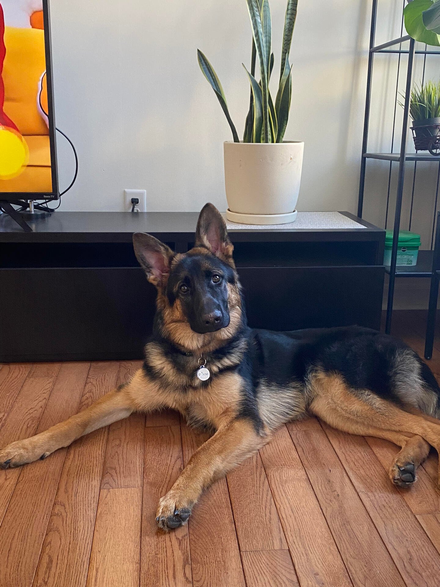 I usually take my dog for a walk 🐶 I enjoy golf ⛳ biking 🚴♀️ scuba diving 🤿 fitness 🏃 reading 📚 I love connecting with genuine people.