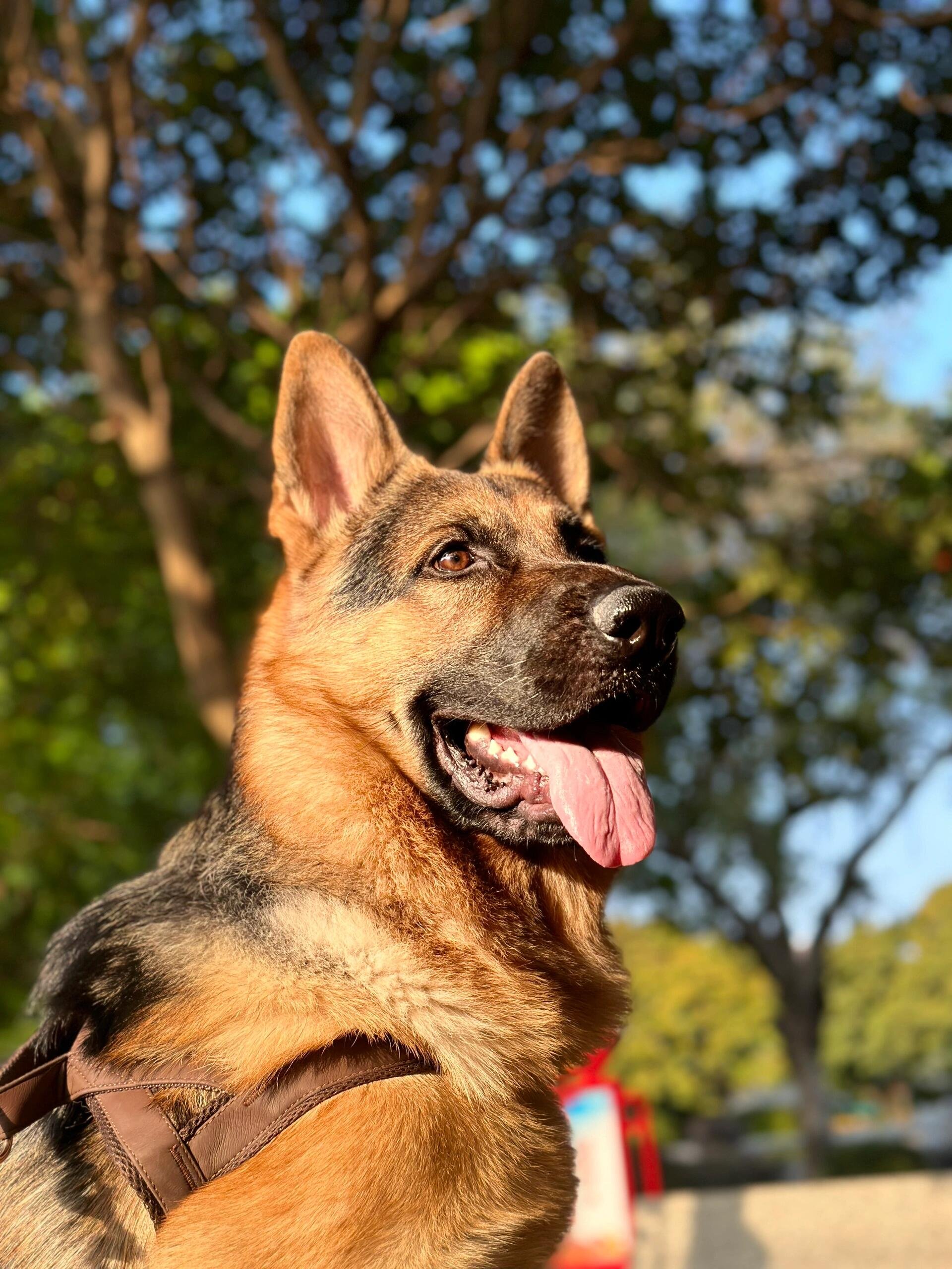 I usually take my dog for a walk 🐶 I enjoy golf ⛳ biking 🚴♀️ scuba diving 🤿 fitness 🏃 reading 📚 I love connecting with genuine people.