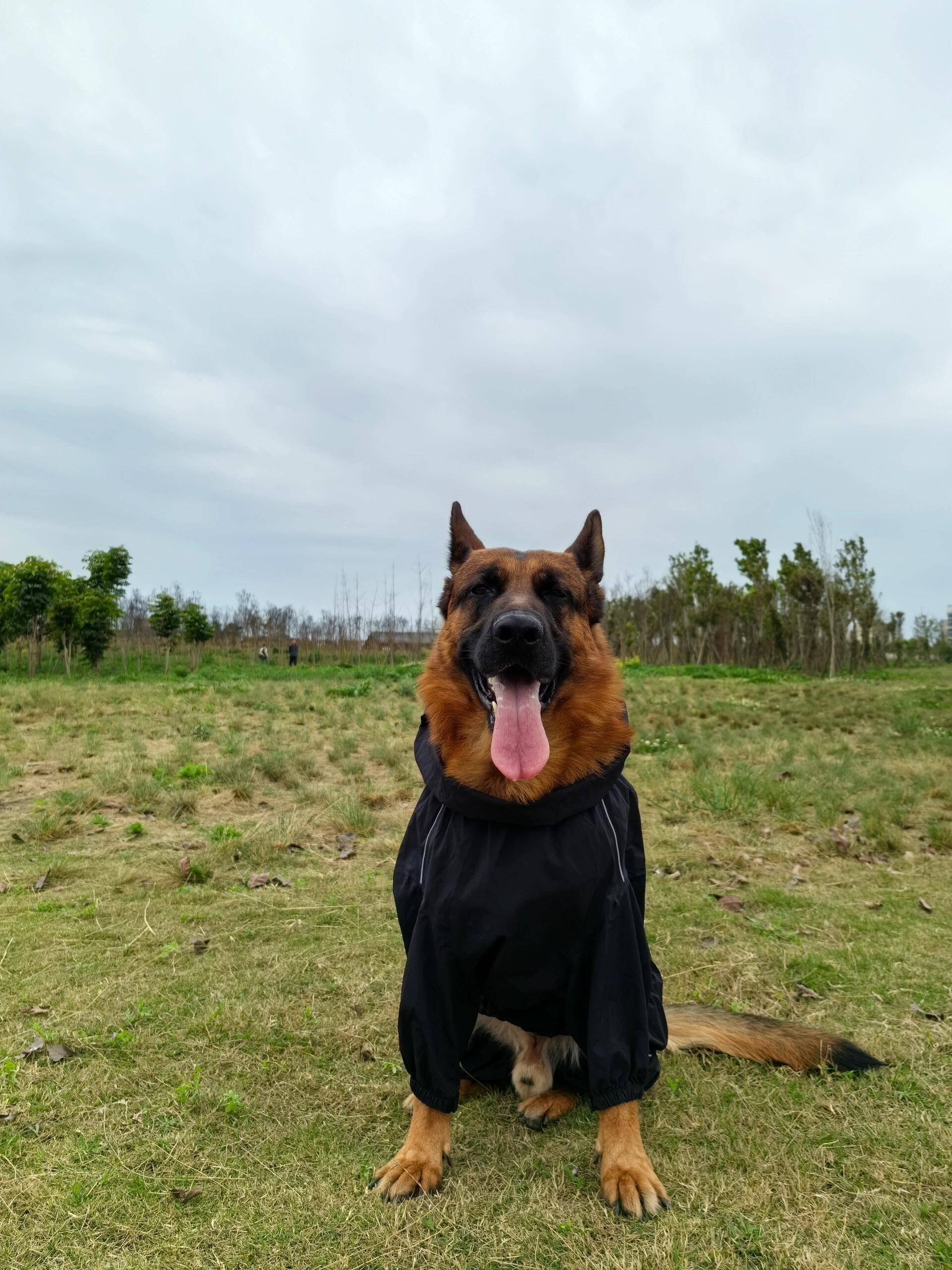I usually take my dog for a walk 🐶 I enjoy golf ⛳ biking 🚴♀️ scuba diving 🤿 fitness 🏃 reading 📚 I love connecting with genuine people.