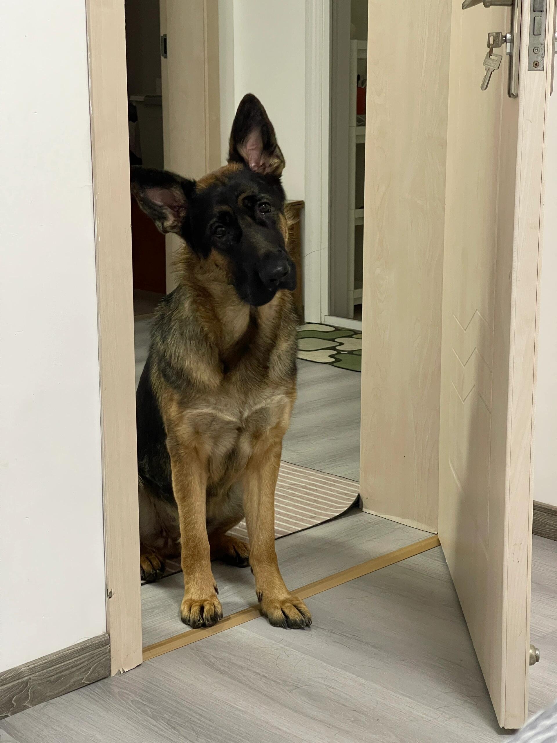 I usually take my dog for a walk 🐶 I enjoy golf ⛳ biking 🚴♀️ scuba diving 🤿 fitness 🏃 reading 📚 I love connecting with genuine people.