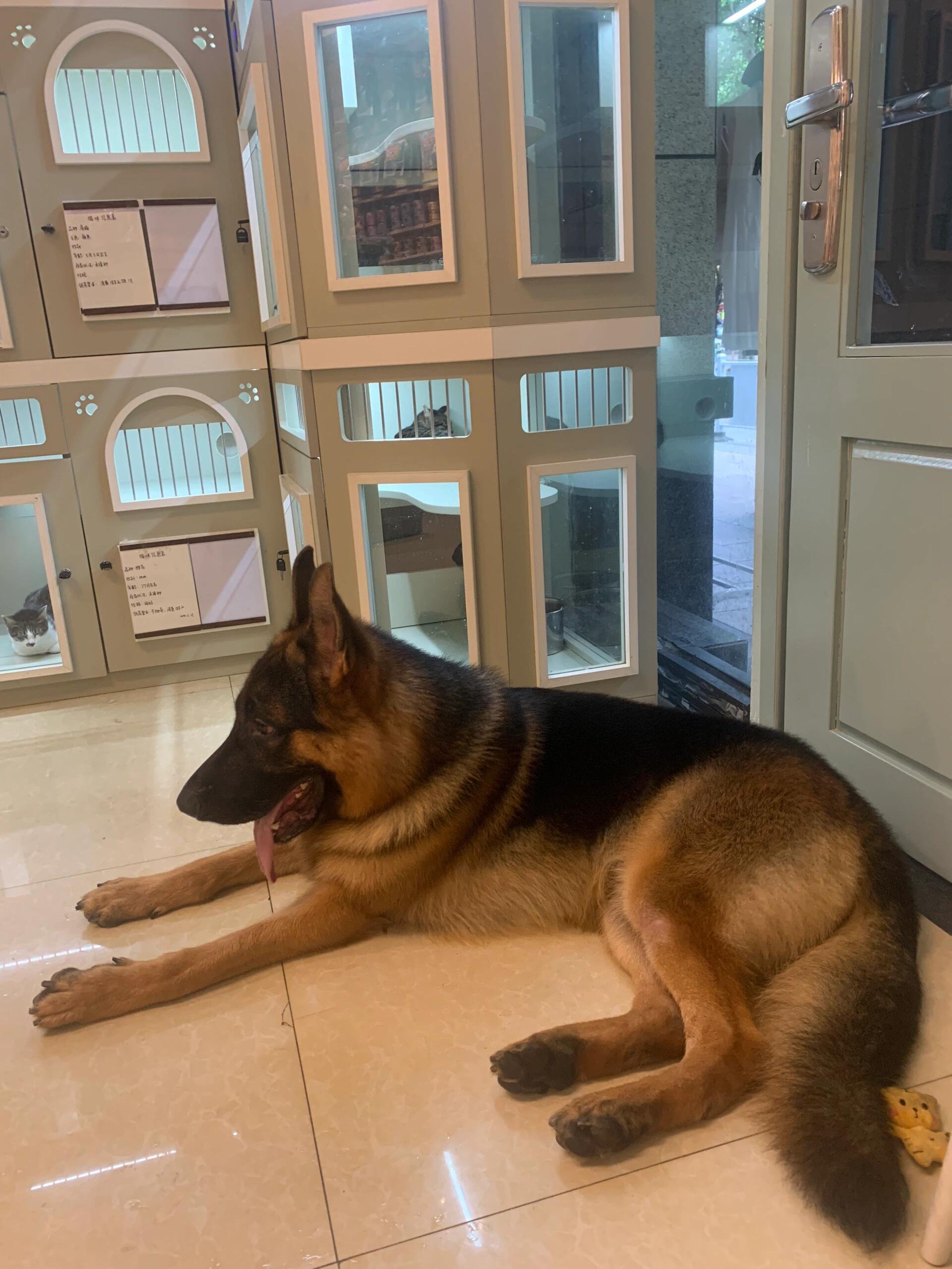 I usually take my dog for a walk 🐶 I enjoy golf ⛳ biking 🚴♀️ scuba diving 🤿 fitness 🏃 reading 📚 I love connecting with genuine people.