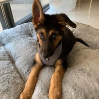 Kevin (@speyresudb4) 's Twitter Profile