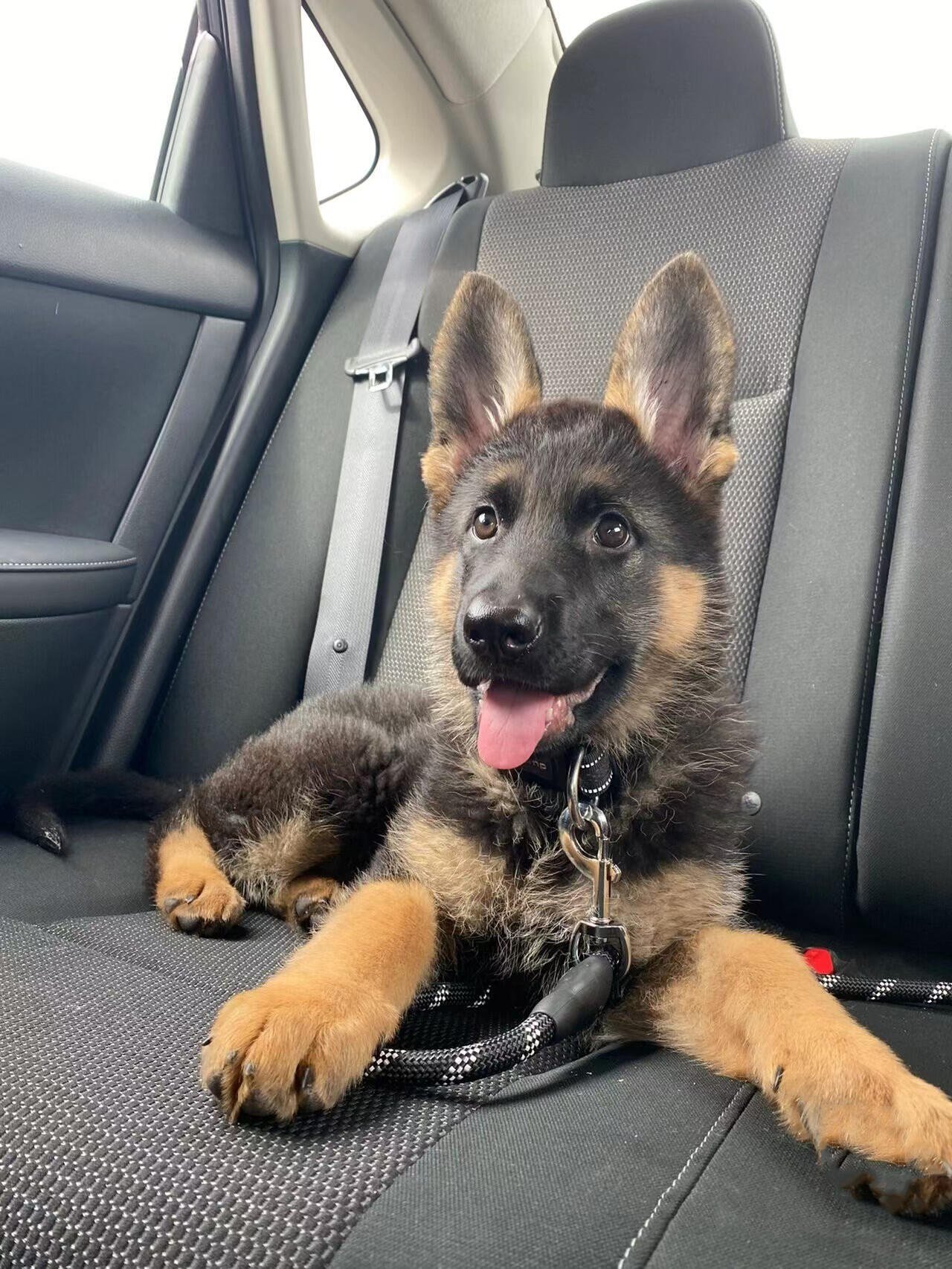 I usually take my dog for a walk 🐶 I enjoy golf ⛳ biking 🚴♀️ scuba diving 🤿 fitness 🏃 reading 📚 I love connecting with genuine people.