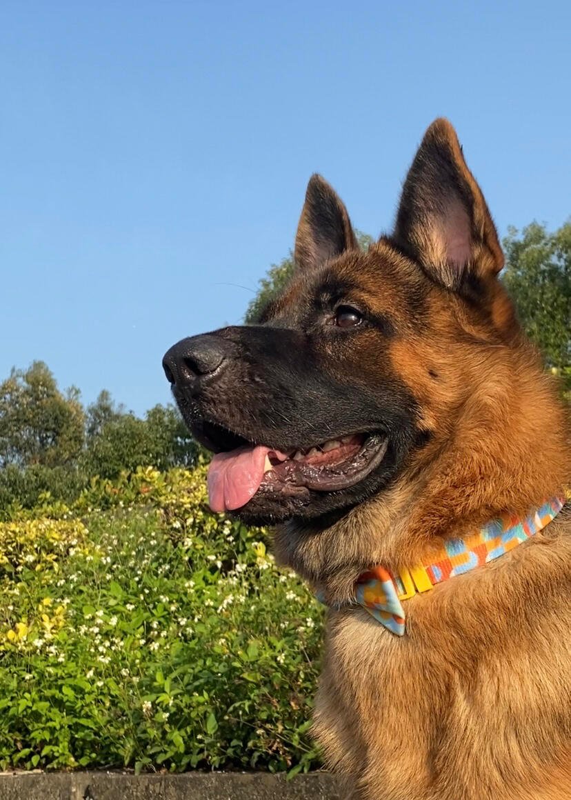 I usually take my dog for a walk 🐶 I enjoy golf ⛳ biking 🚴♀️ scuba diving 🤿 fitness 🏃 reading 📚 I love connecting with genuine people.