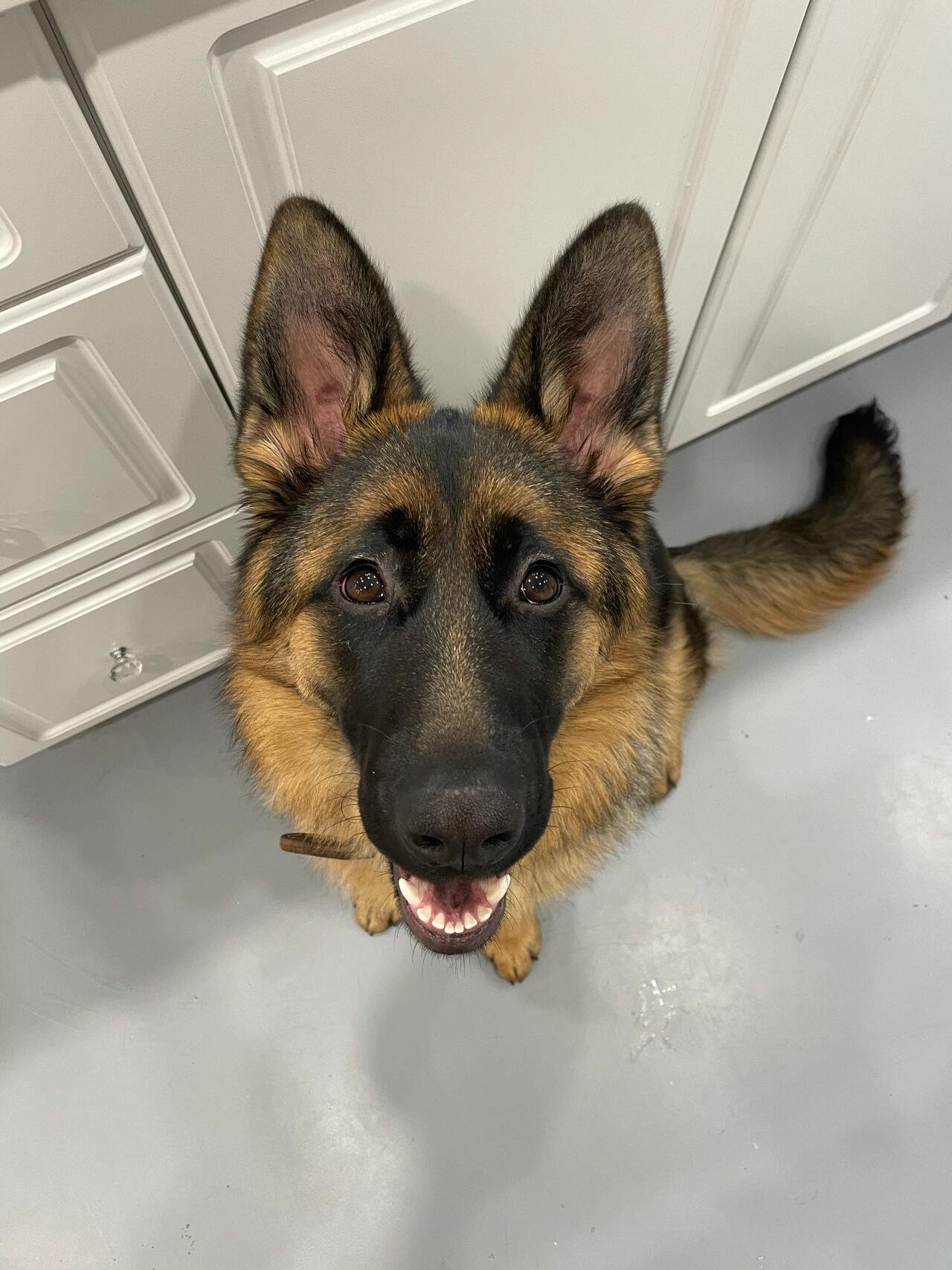 I usually take my dog for a walk 🐶 I enjoy golf ⛳ biking 🚴♀️ scuba diving 🤿 fitness 🏃 reading 📚 I love connecting with genuine people.