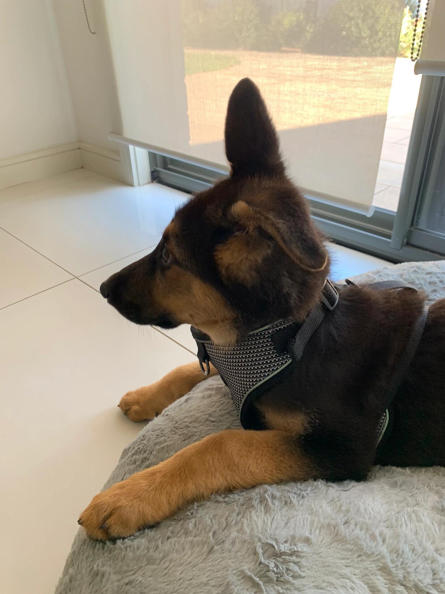 I usually take my dog for a walk 🐶 I enjoy golf ⛳ biking 🚴♀️ scuba diving 🤿 fitness 🏃 reading 📚 I love connecting with genuine people.