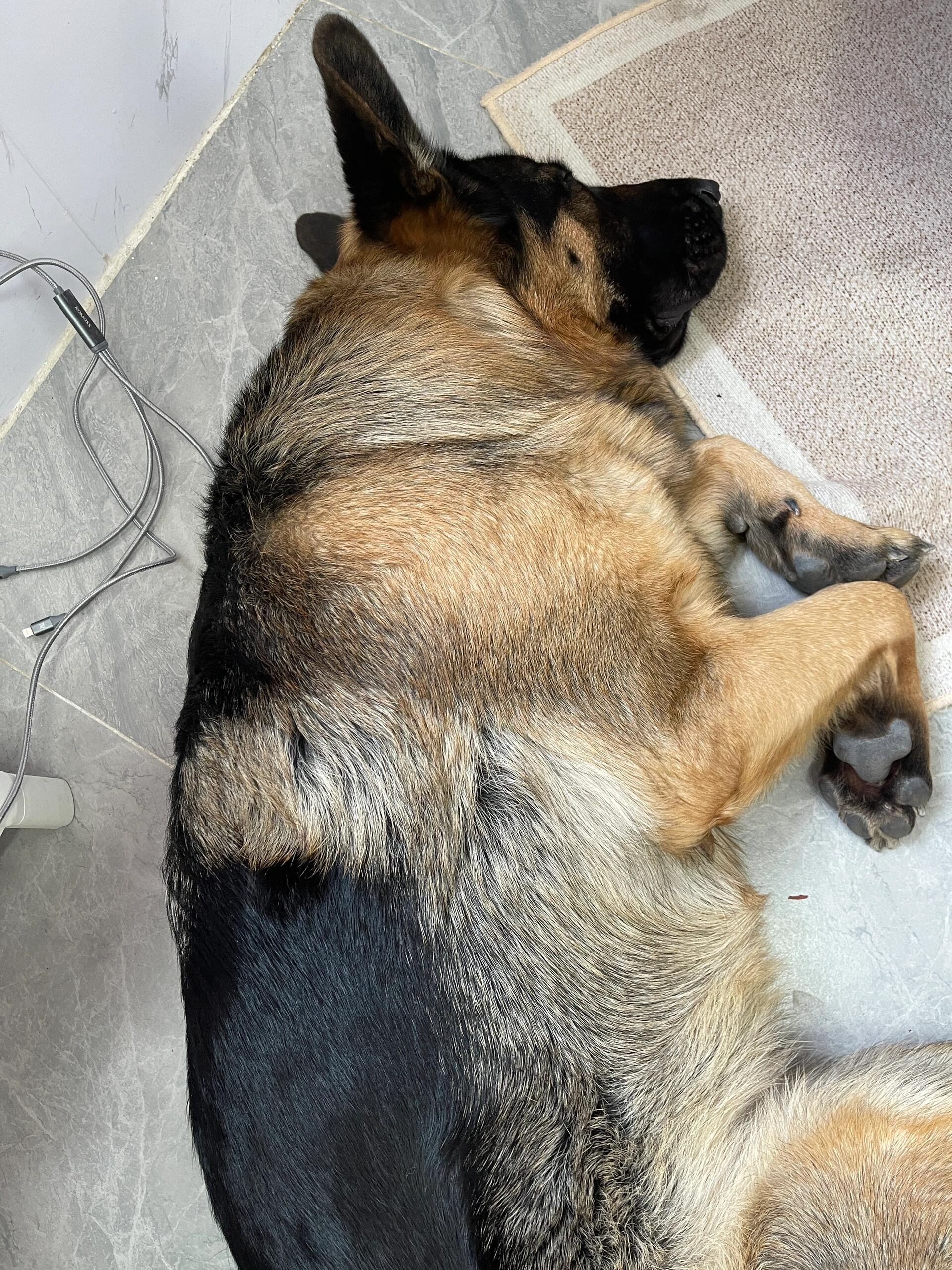 I usually take my dog for a walk 🐶 I enjoy golf ⛳ biking 🚴♀️ scuba diving 🤿 fitness 🏃 reading 📚 I love connecting with genuine people.