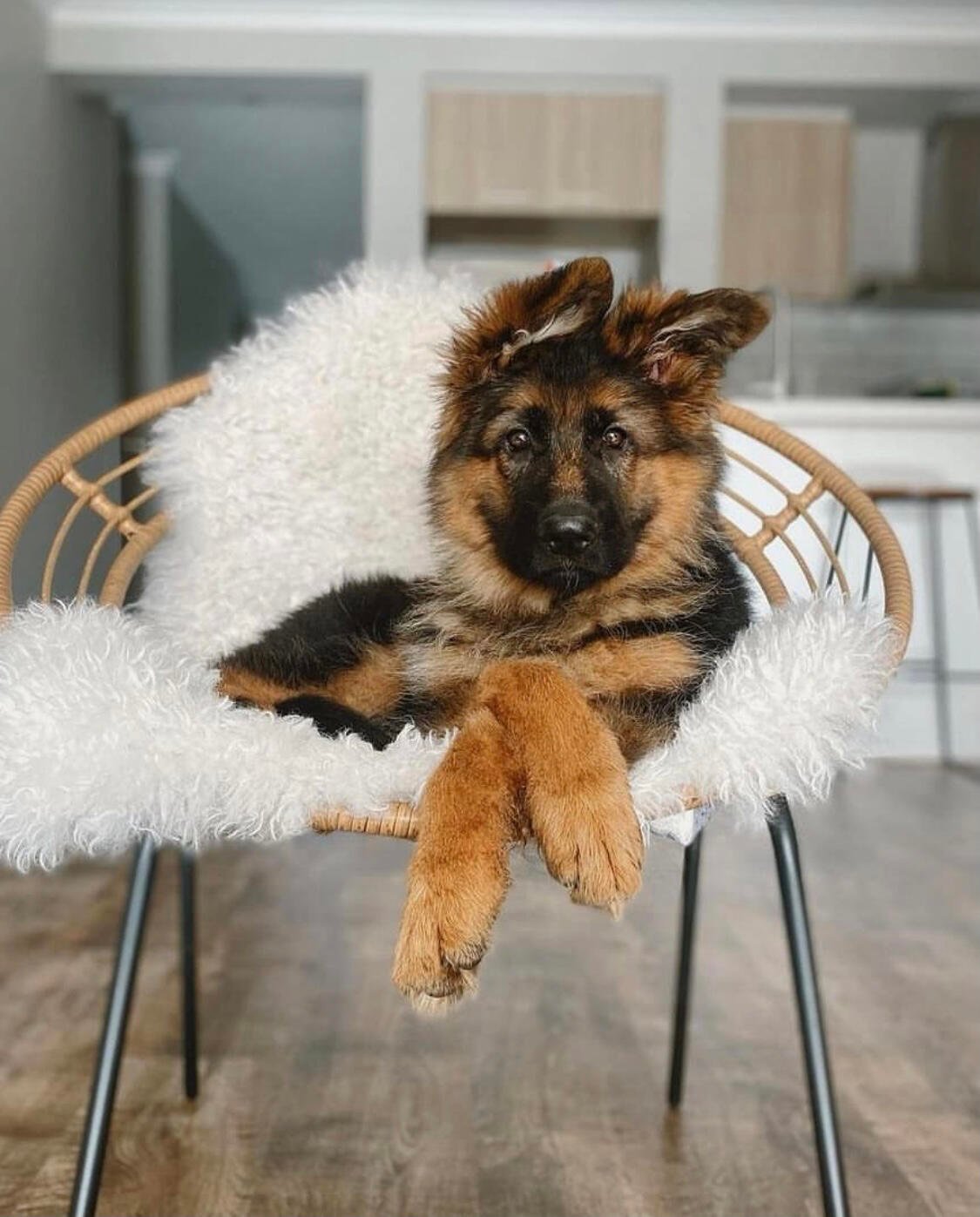 I usually take my dog for a walk 🐶 I enjoy golf ⛳ biking 🚴♀️ scuba diving 🤿 fitness 🏃 reading 📚 I love connecting with genuine people.