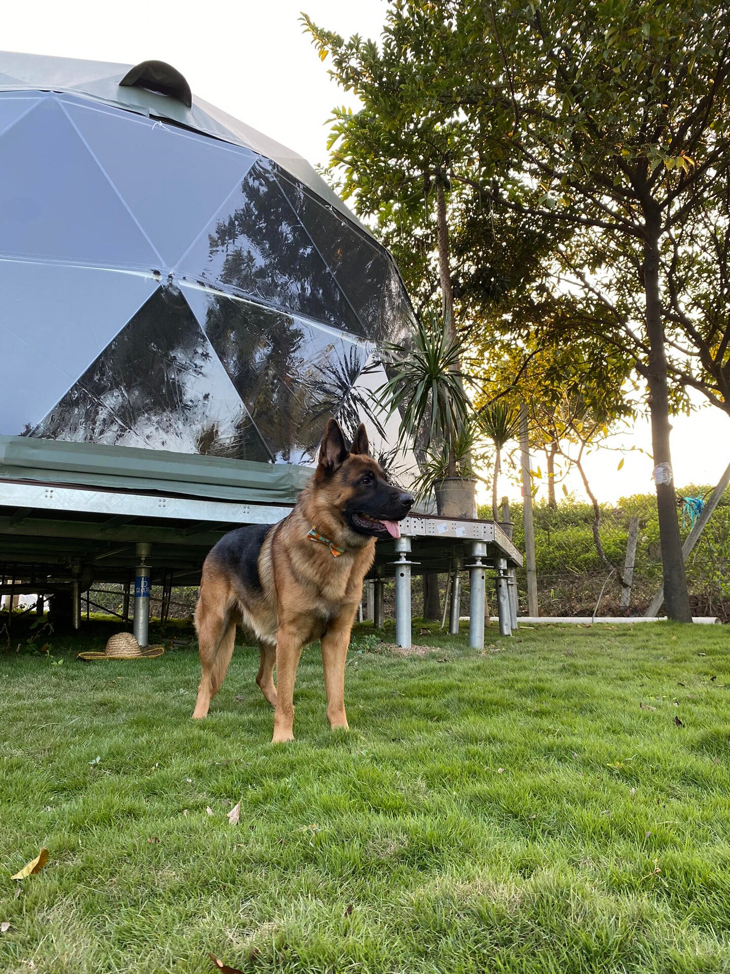 I usually take my dog for a walk 🐶 I enjoy golf ⛳ biking 🚴♀️ scuba diving 🤿 fitness 🏃 reading 📚 I love connecting with genuine people.