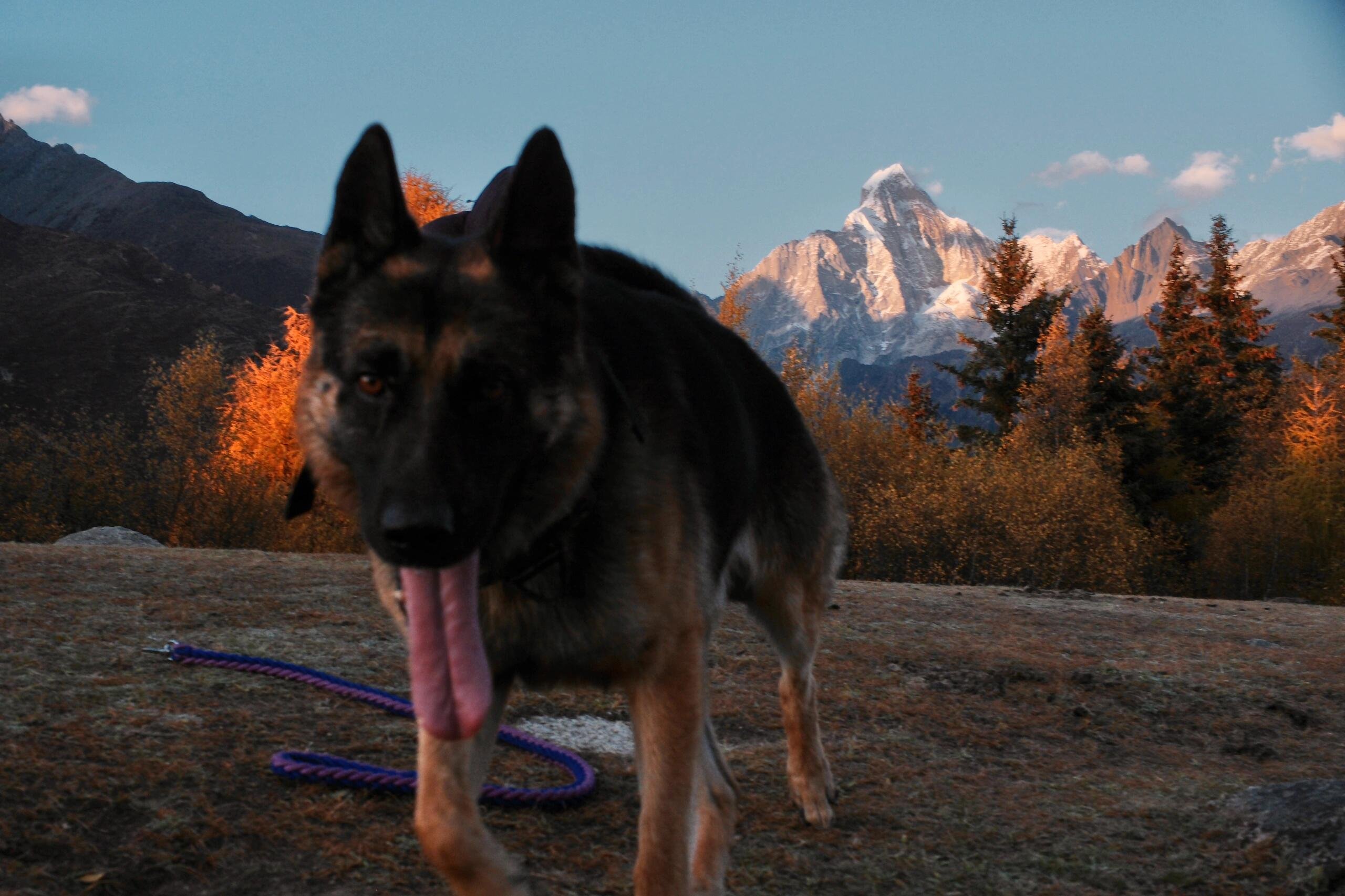 I usually take my dog for a walk 🐶 I enjoy golf ⛳ biking 🚴♀️ scuba diving 🤿 fitness 🏃 reading 📚 I love connecting with genuine people.