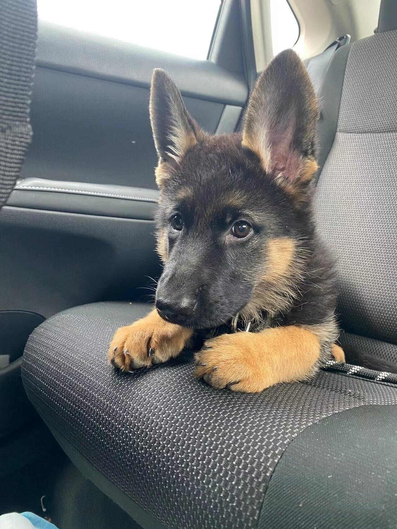 I usually take my dog for a walk 🐶 I enjoy golf ⛳ biking 🚴♀️ scuba diving 🤿 fitness 🏃 reading 📚 I love connecting with genuine people.