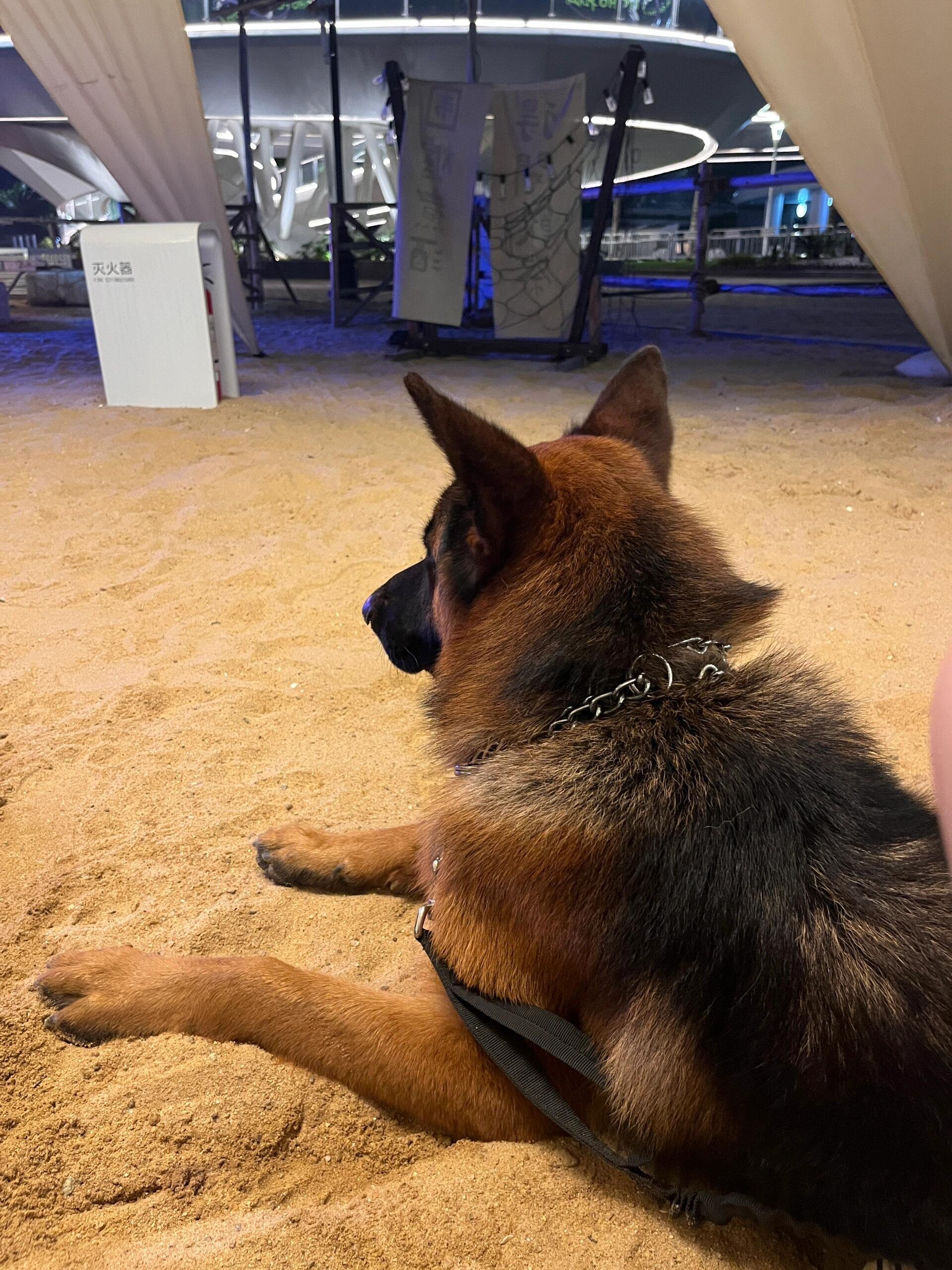 I usually take my dog for a walk 🐶 I enjoy golf ⛳ biking 🚴♀️ scuba diving 🤿 fitness 🏃 reading 📚 I love connecting with genuine people.