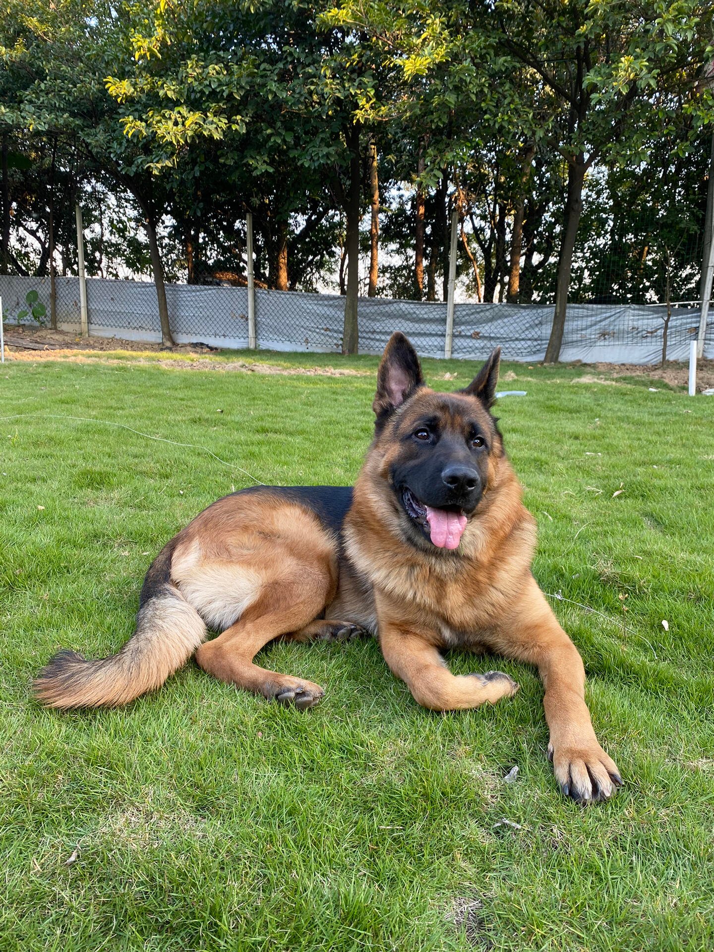 I usually take my dog for a walk 🐶 I enjoy golf ⛳ biking 🚴♀️ scuba diving 🤿 fitness 🏃 reading 📚 I love connecting with genuine people.
