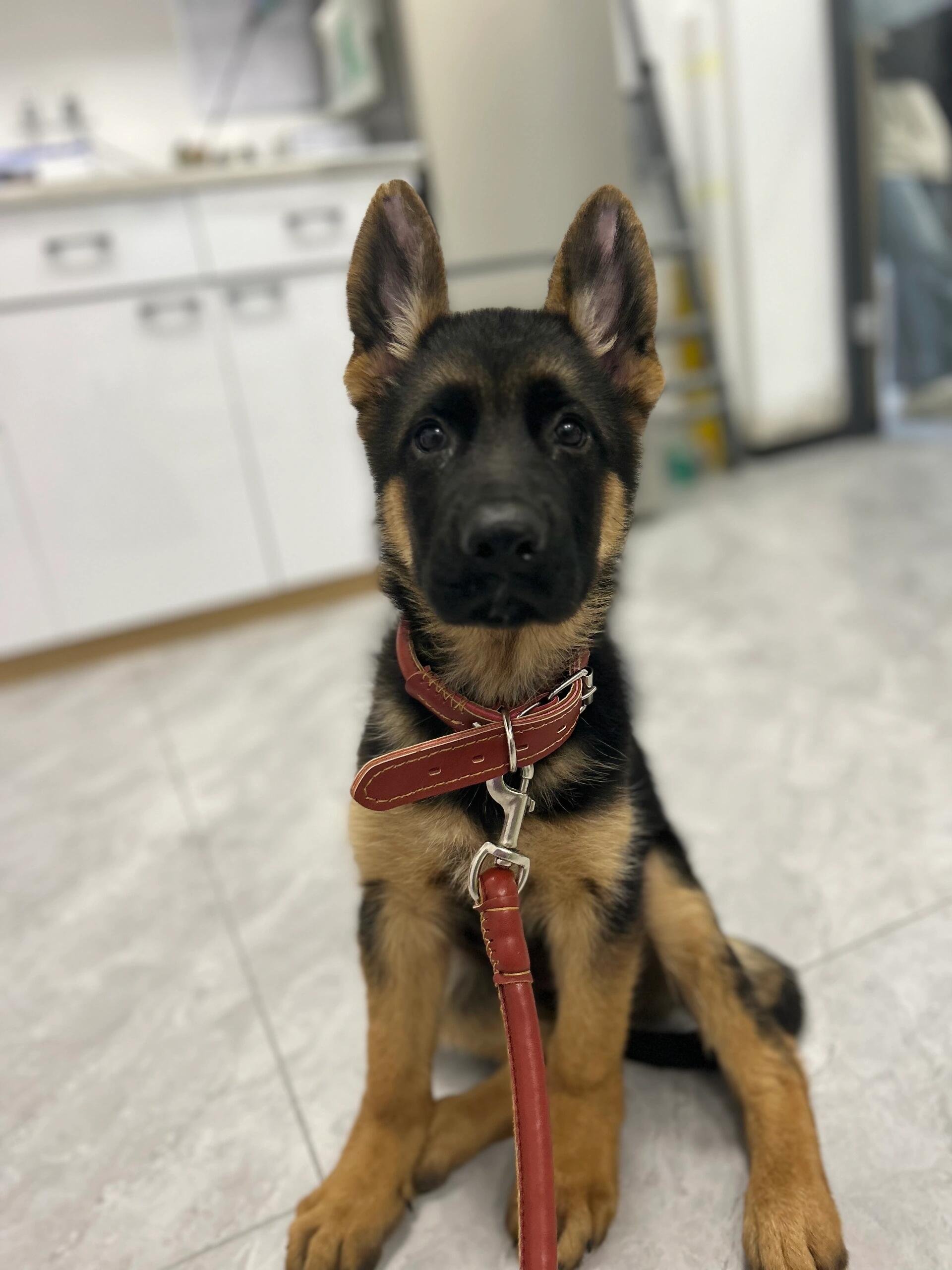 I usually take my dog for a walk 🐶 I enjoy golf ⛳ biking 🚴♀️ scuba diving 🤿 fitness 🏃 reading 📚 I love connecting with genuine people.