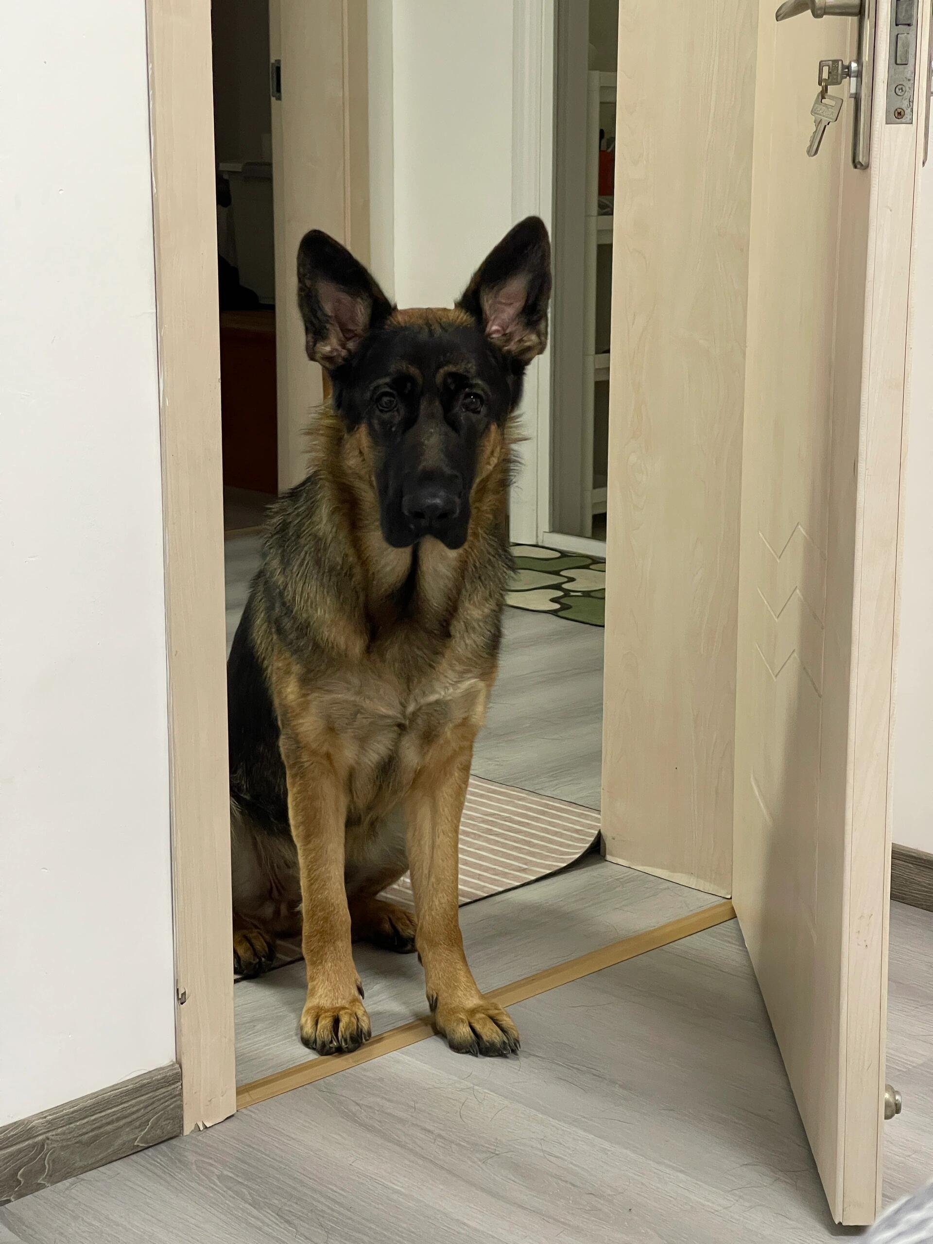I usually take my dog for a walk 🐶 I enjoy golf ⛳ biking 🚴♀️ scuba diving 🤿 fitness 🏃 reading 📚 I love connecting with genuine people.