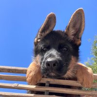 Kevin (@seetawske4) 's Twitter Profile