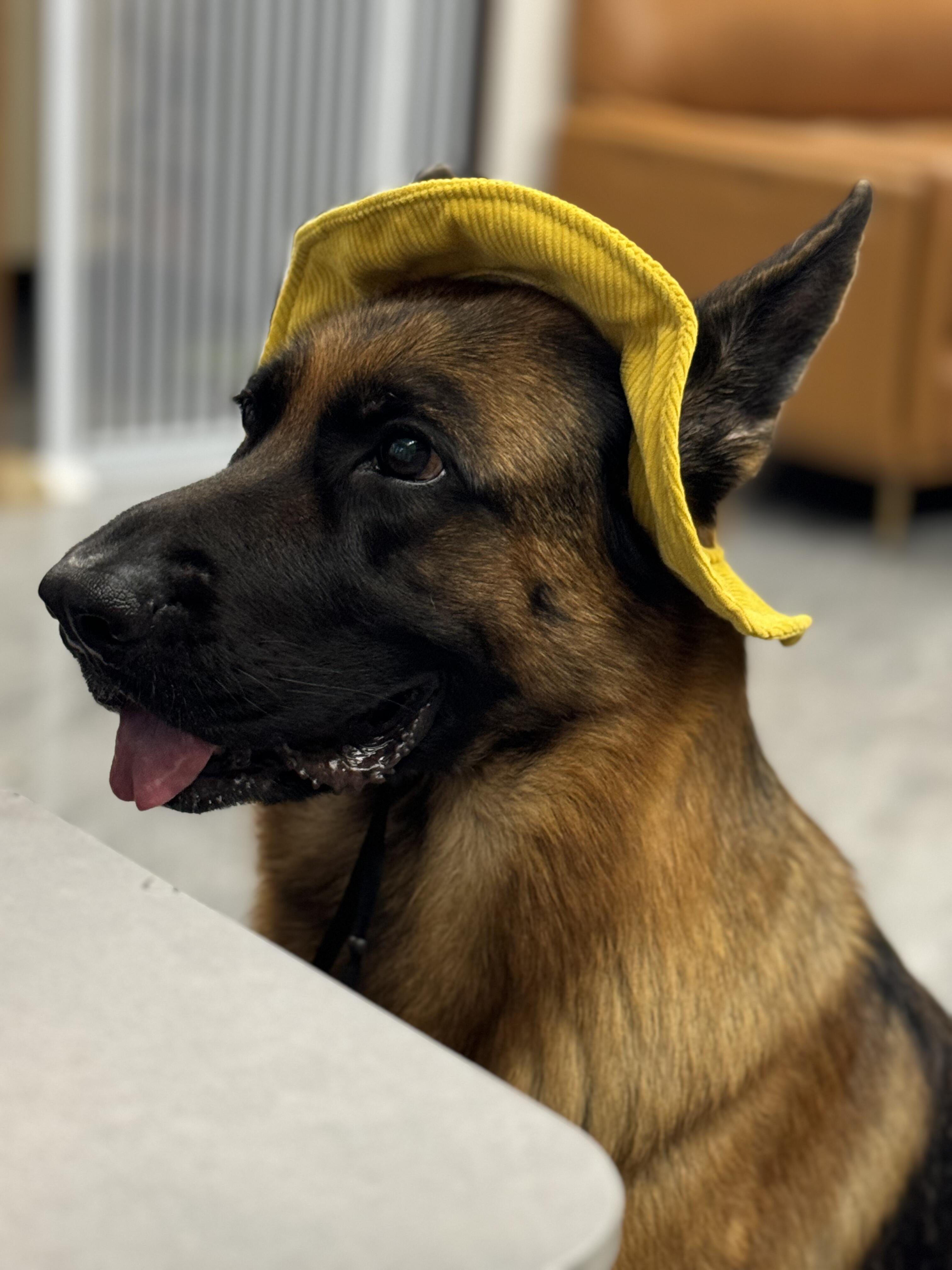 I usually take my dog for a walk 🐶 I enjoy golf ⛳ biking 🚴♀️ scuba diving 🤿 fitness 🏃 reading 📚 I love connecting with genuine people.
