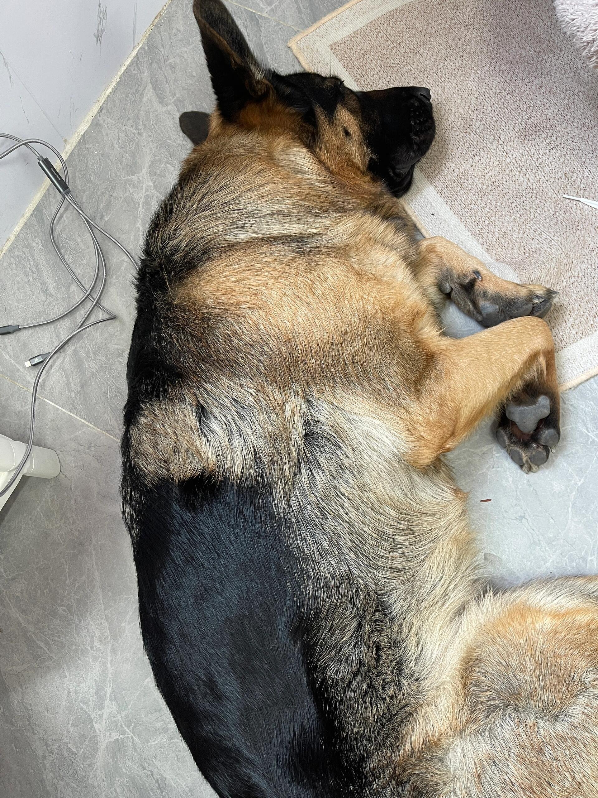 I usually take my dog for a walk 🐶 I enjoy golf ⛳ biking 🚴♀️ scuba diving 🤿 fitness 🏃 reading 📚 I love connecting with genuine people.