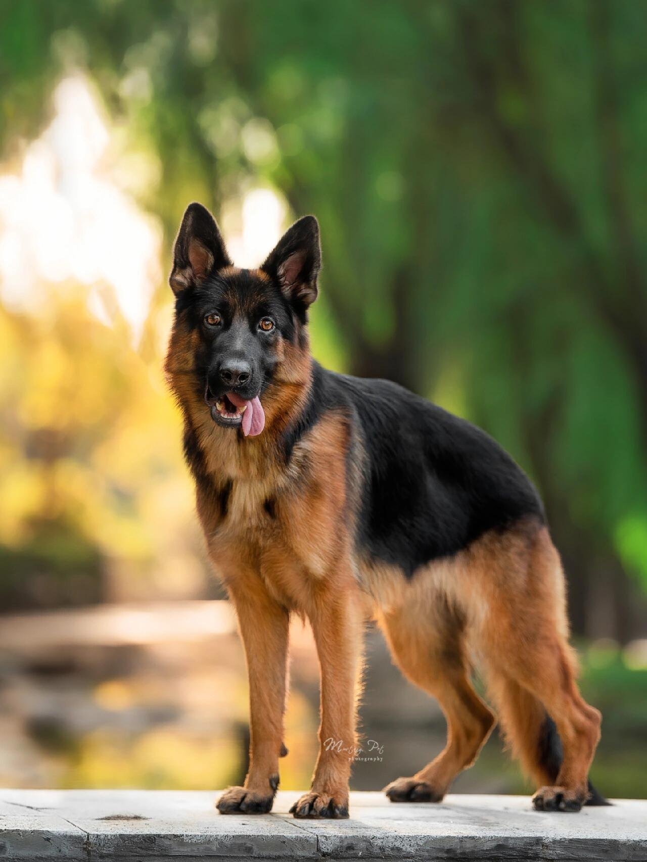 I usually take my dog for a walk 🐶 I enjoy golf ⛳ biking 🚴♀️ scuba diving 🤿 fitness 🏃 reading 📚 I love connecting with genuine people.