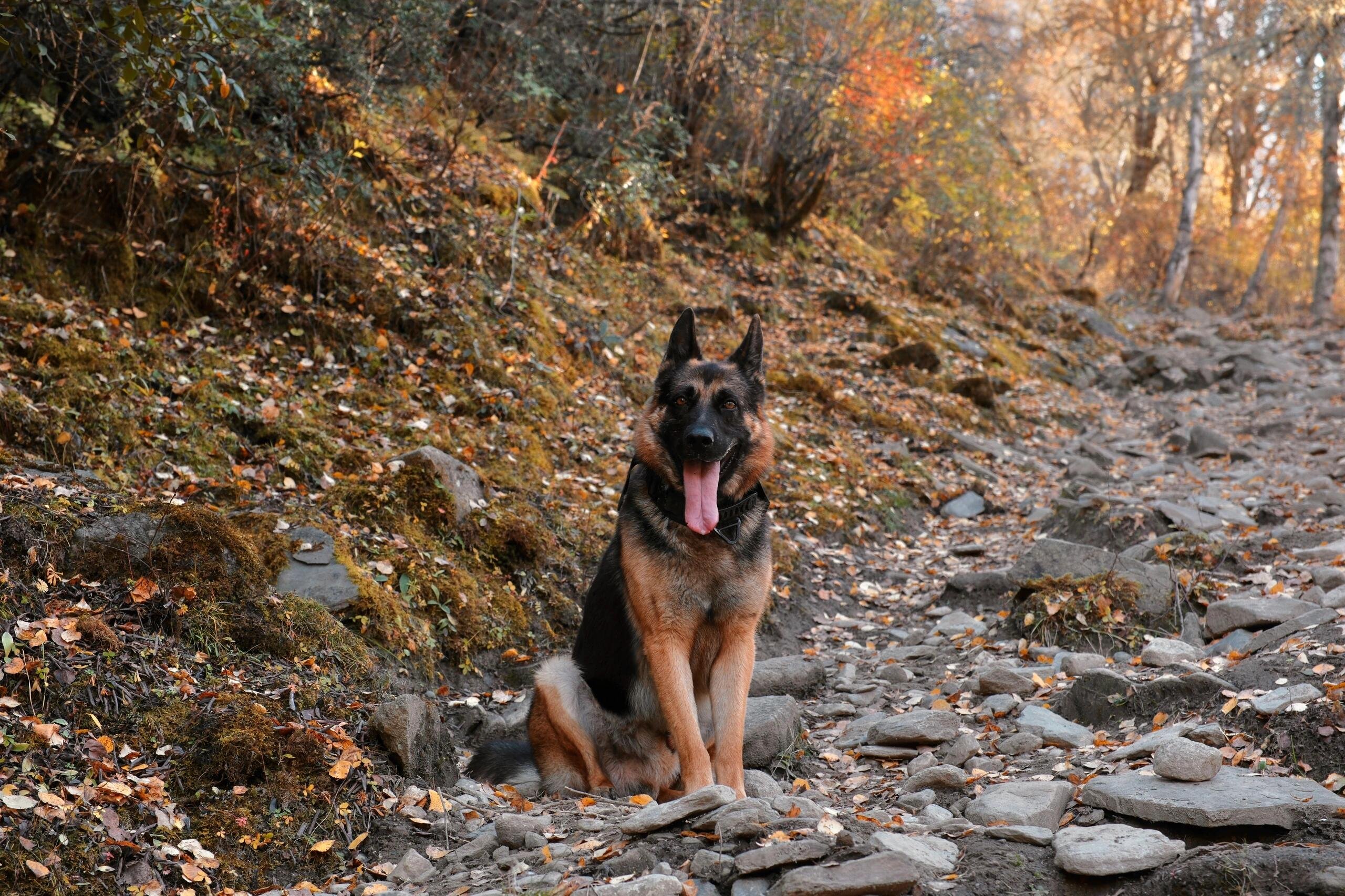 I usually take my dog for a walk 🐶 I enjoy golf ⛳ biking 🚴♀️ scuba diving 🤿 fitness 🏃 reading 📚 I love connecting with genuine people.