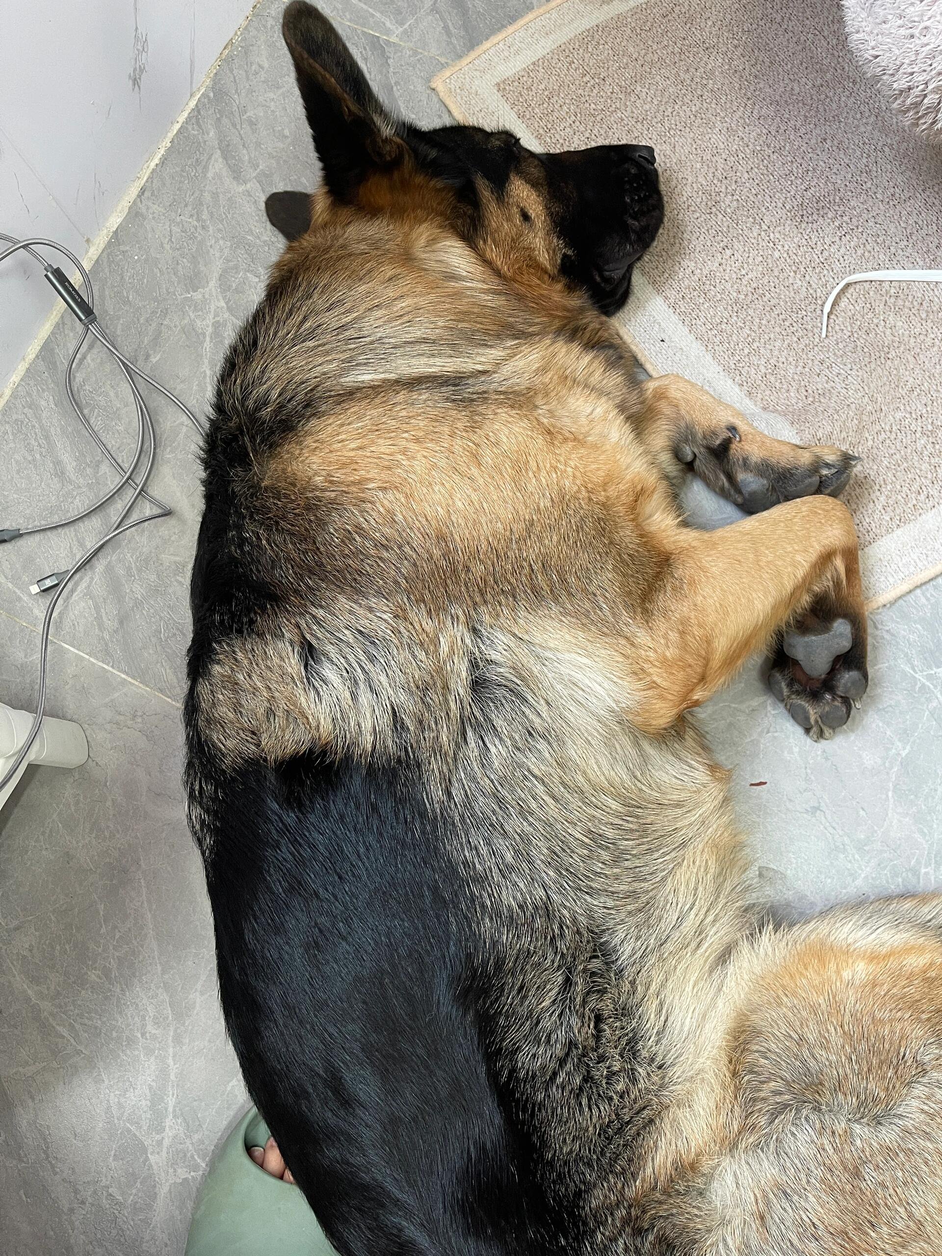 I usually take my dog for a walk 🐶 I enjoy golf ⛳ biking 🚴♀️ scuba diving 🤿 fitness 🏃 reading 📚 I love connecting with genuine people.
