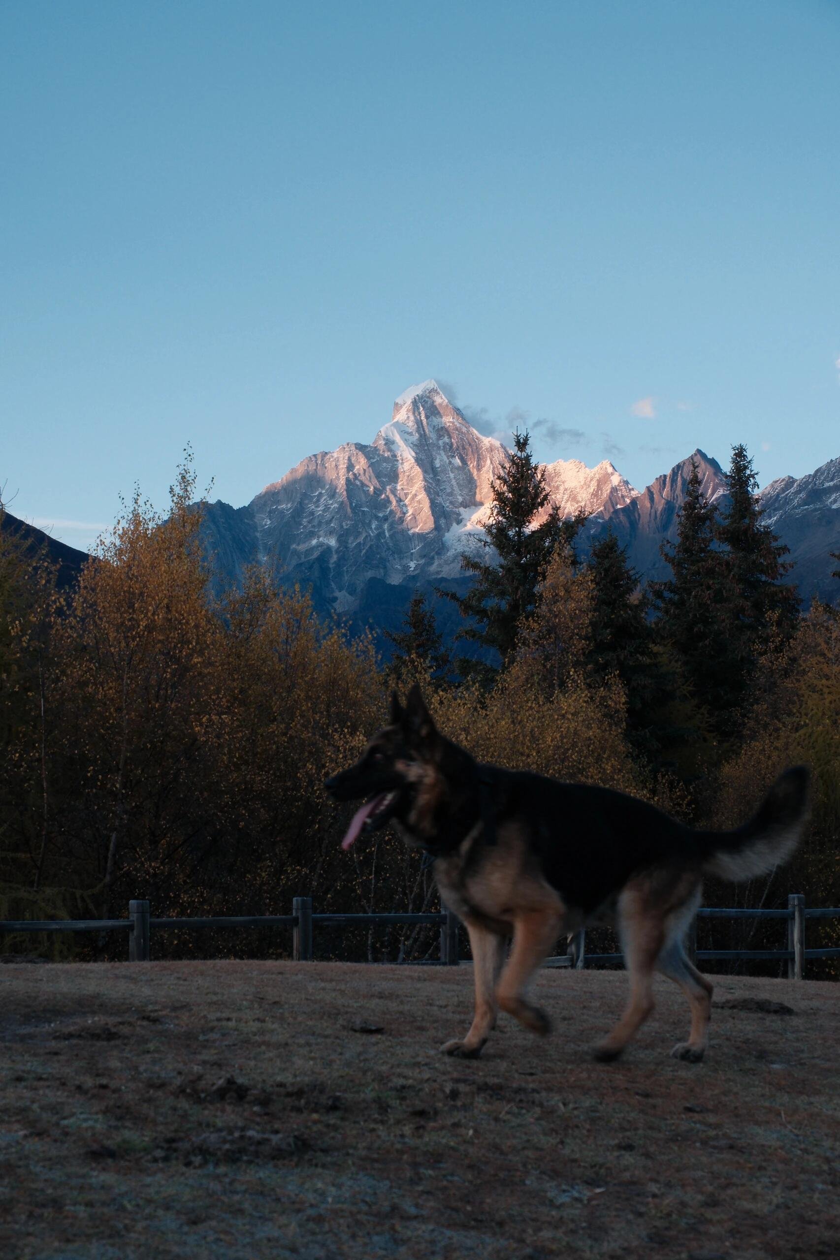 I usually take my dog for a walk 🐶 I enjoy golf ⛳ biking 🚴♀️ scuba diving 🤿 fitness 🏃 reading 📚 I love connecting with genuine people.